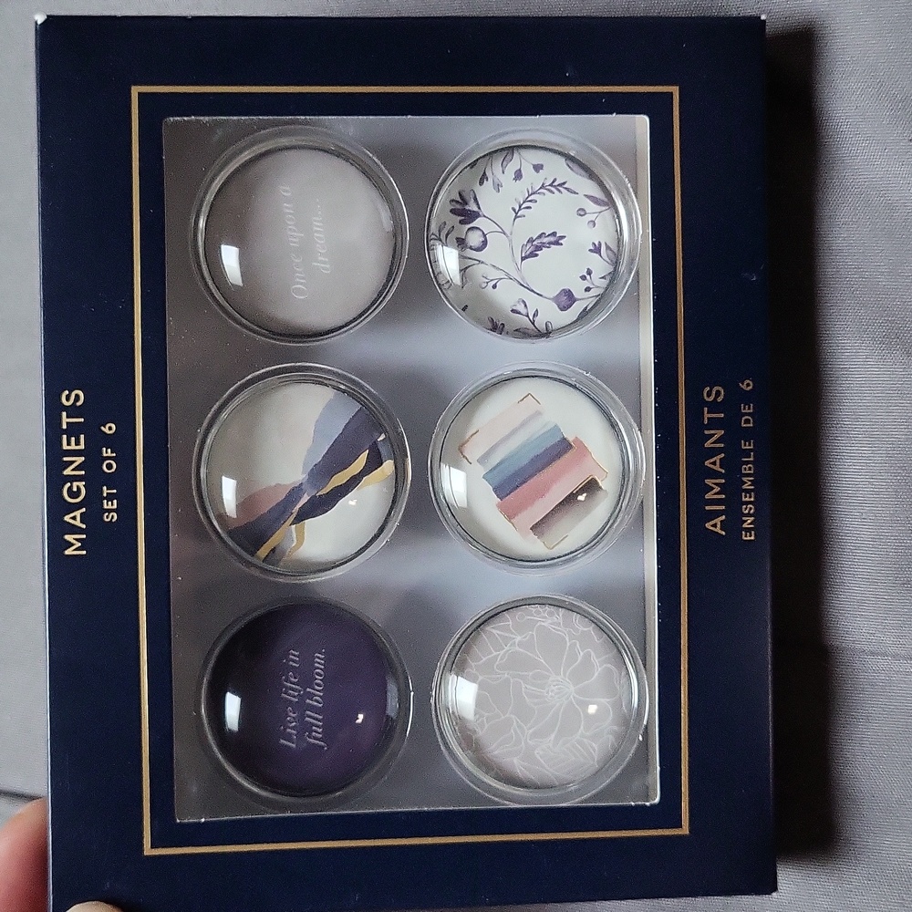 Set of 6 Magnets From Indigo, New With Tags